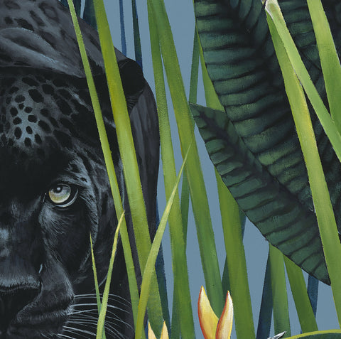 The Birds of Paradise Limited Edition
