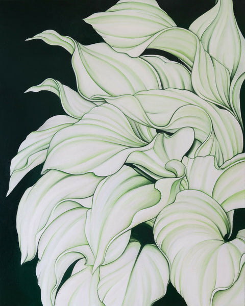 A Plantain Lily in Malibu, CA Print