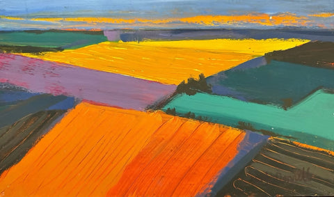 Sunset over Rapeseed Fields