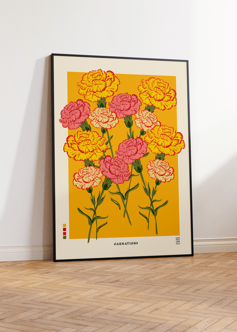 Carnations