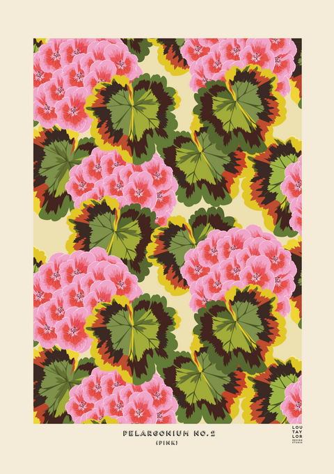 Pink Pelargonium