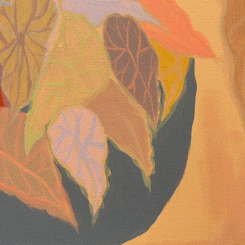 Burnt Coal Alocasia & Begonia Diptych