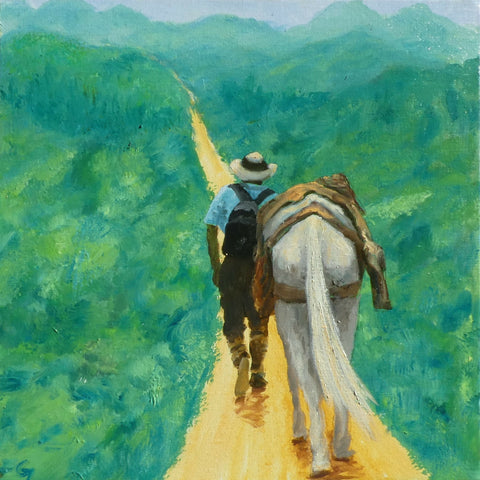 On the road again, The Andes, Colombia