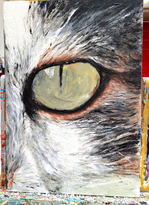Cat's Eye