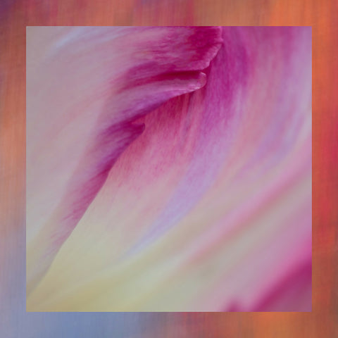 Petal Power