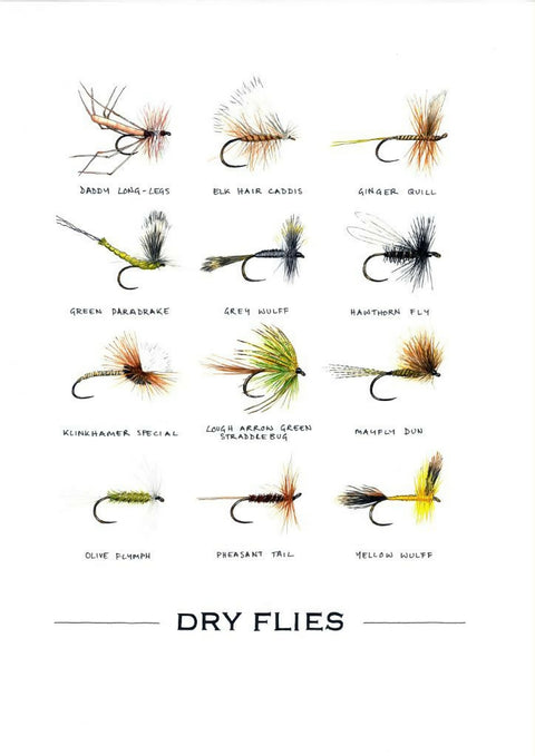 'Dry Flies'