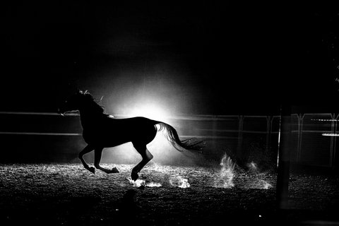 The Gallop of Light and Power / N3