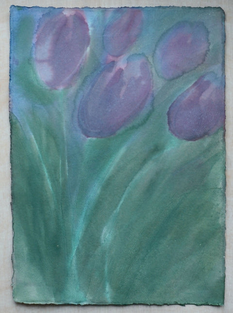 Tulips VI