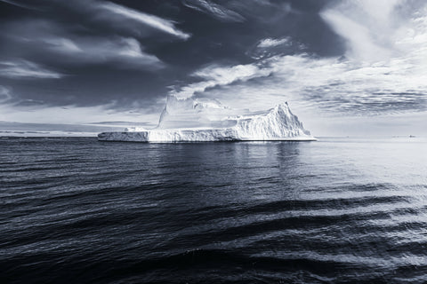 Ami ('Grace') - The Greenland Collection