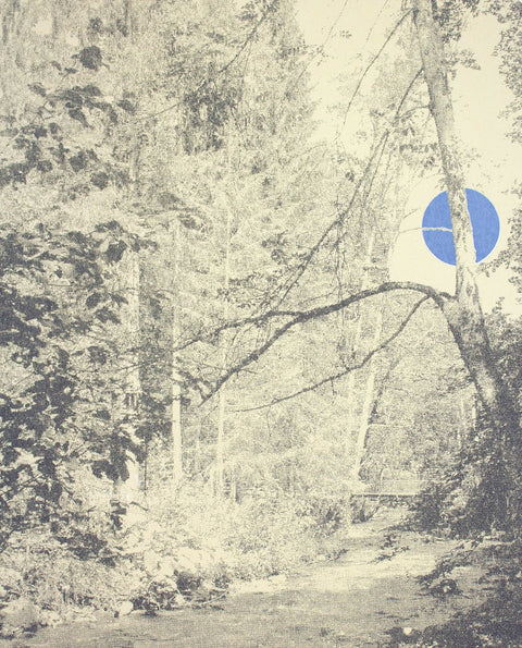 Moonlight Through The Trees