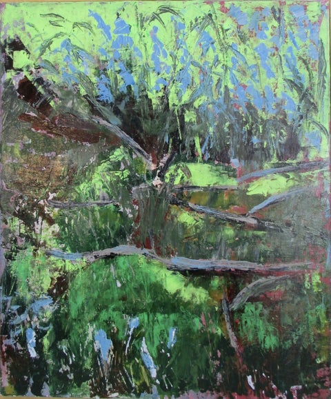 Tree Roots and Bluebells