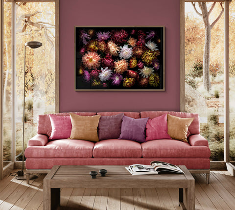 Chrysanthemums