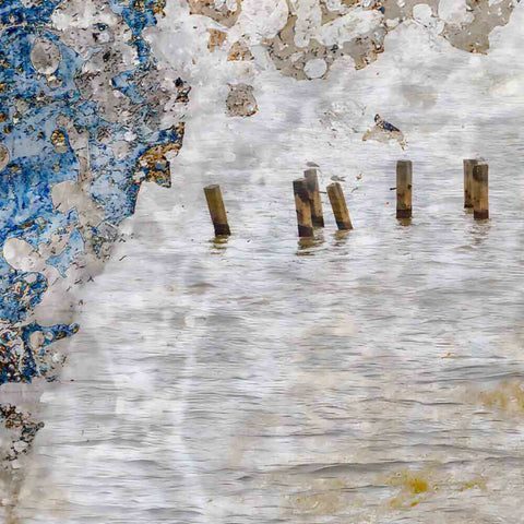 The Mariner’s Dream #5