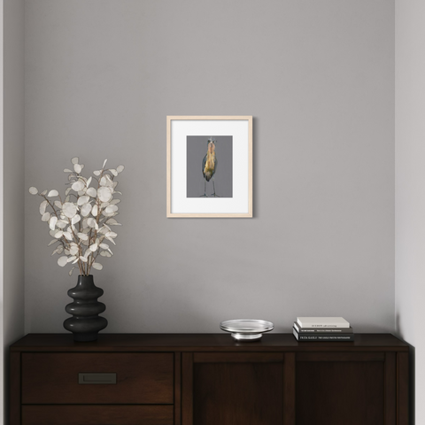 Lord the Shoebill, Print