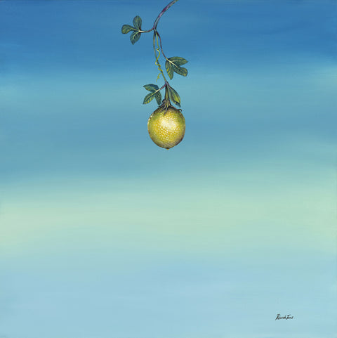 Passion Fruit final crop low res