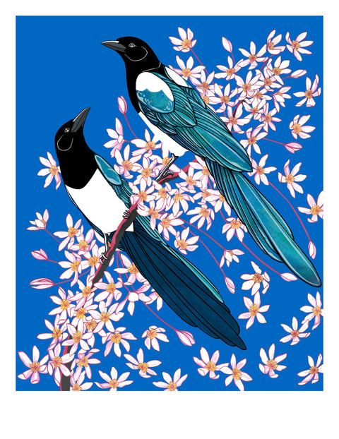 Magpies and Clematis