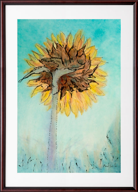 sunflower-from-behind-framed