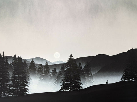 Stillness Among the Pines