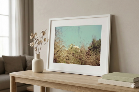 Greenwich Observatory In the Treetops