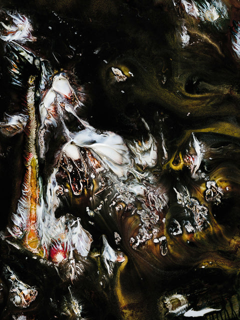 DELIRIUM (Limited Edition Print)
