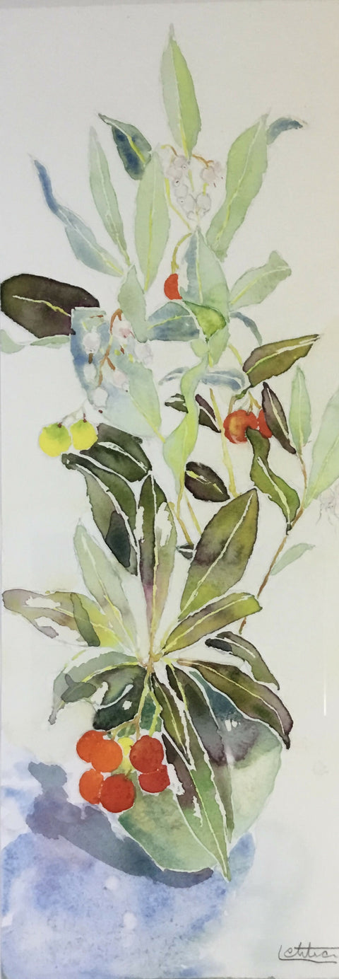 Autumn - The Strawberry Tree