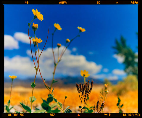 Hell's Gate Film Rebate srgb
