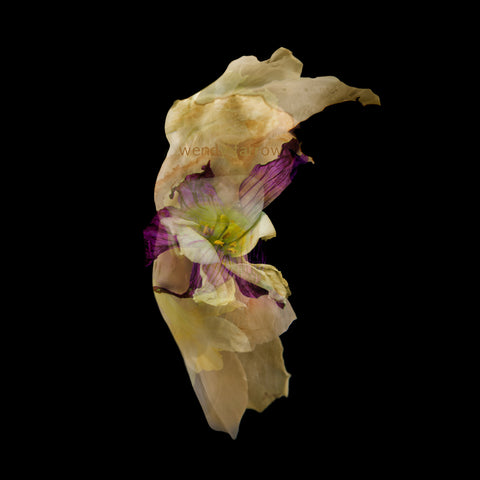 The Healing Gardens #02