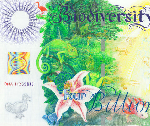 Banknote