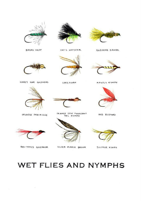 'Wet Flies & Nymphs'