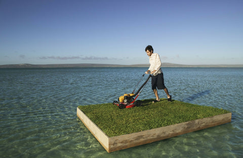 The Grass is Greener
