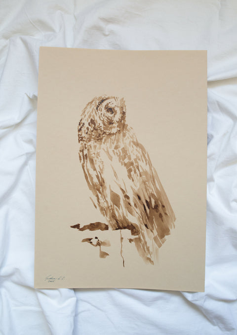 Owl the Watcher_A3_GBP 185