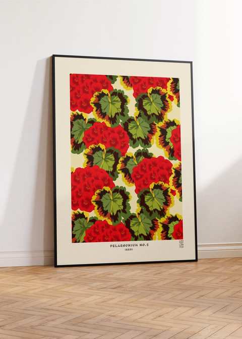 Red Pelargonium
