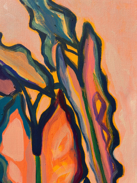 Alocasia Study 1