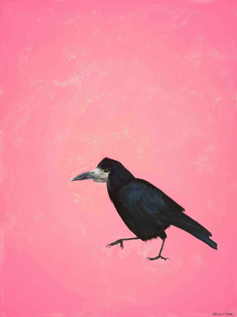 Sylvester The Pink Rook