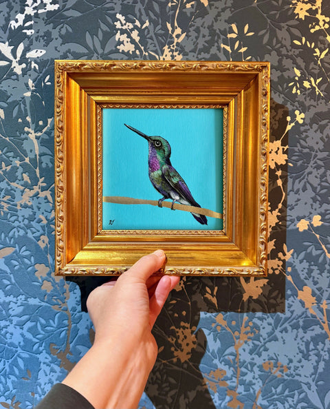 Hummingbird Purple Neck