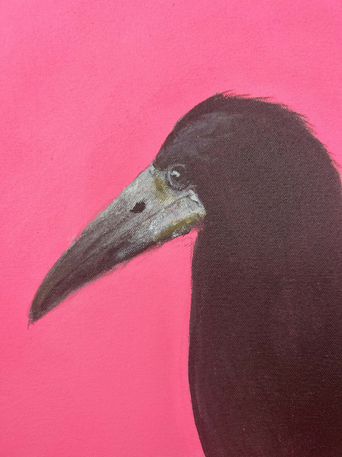 Christian the Rook in the Sun