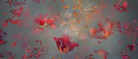 Garden of Secrets 03