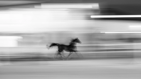 The Gallop of Light and Power / N6
