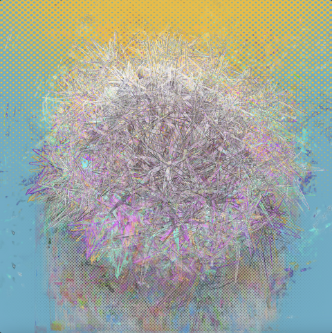 Neon Bloom