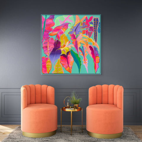 Rainbow Alocasias