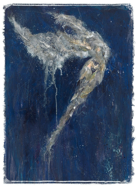 Ariel