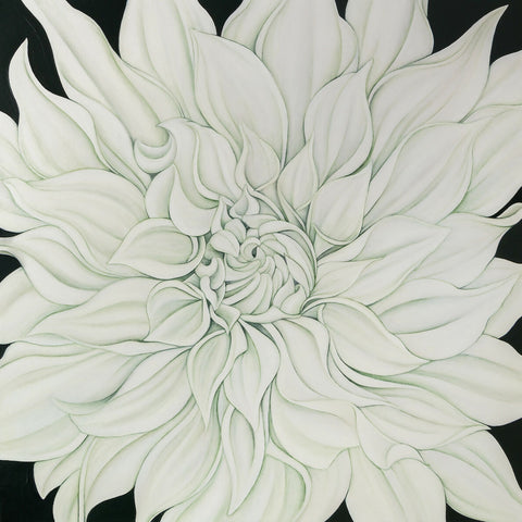 Large White Dahlia on Vert de Gris