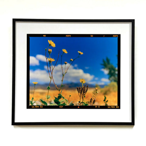 Hell's Gate Film Rebate 584 x 660 Black Frame on the Wall