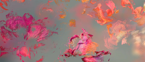 Garden of Secrets 01