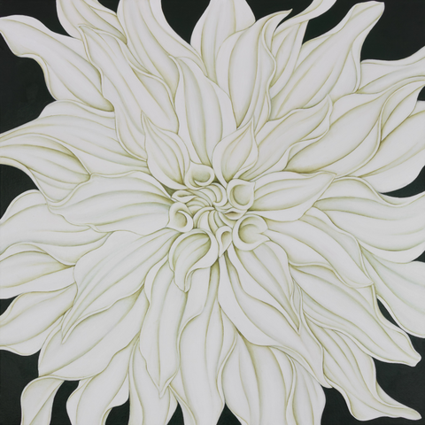 Cafe au Lait Dahlia (on Vert de Gris)