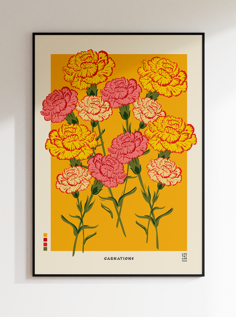 Carnations