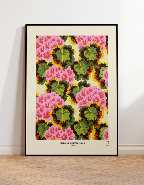 Pink Pelargonium