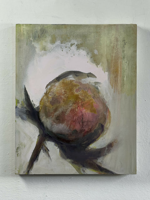 Peony, Titan Violet Pale