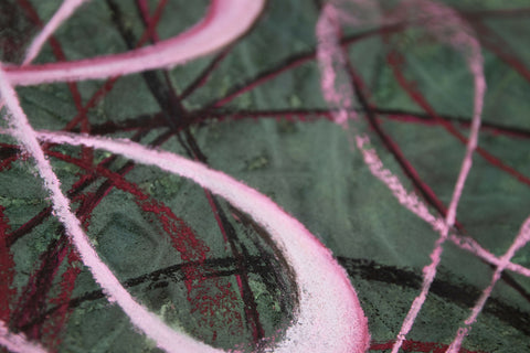 CLOSEUP4