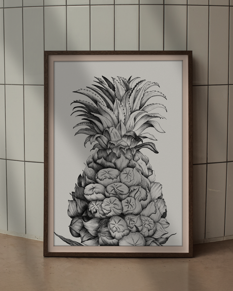 Ananas comosus (Pineapple)